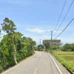 觀音桃大路邊美田