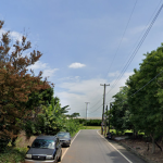 中壢方正農地